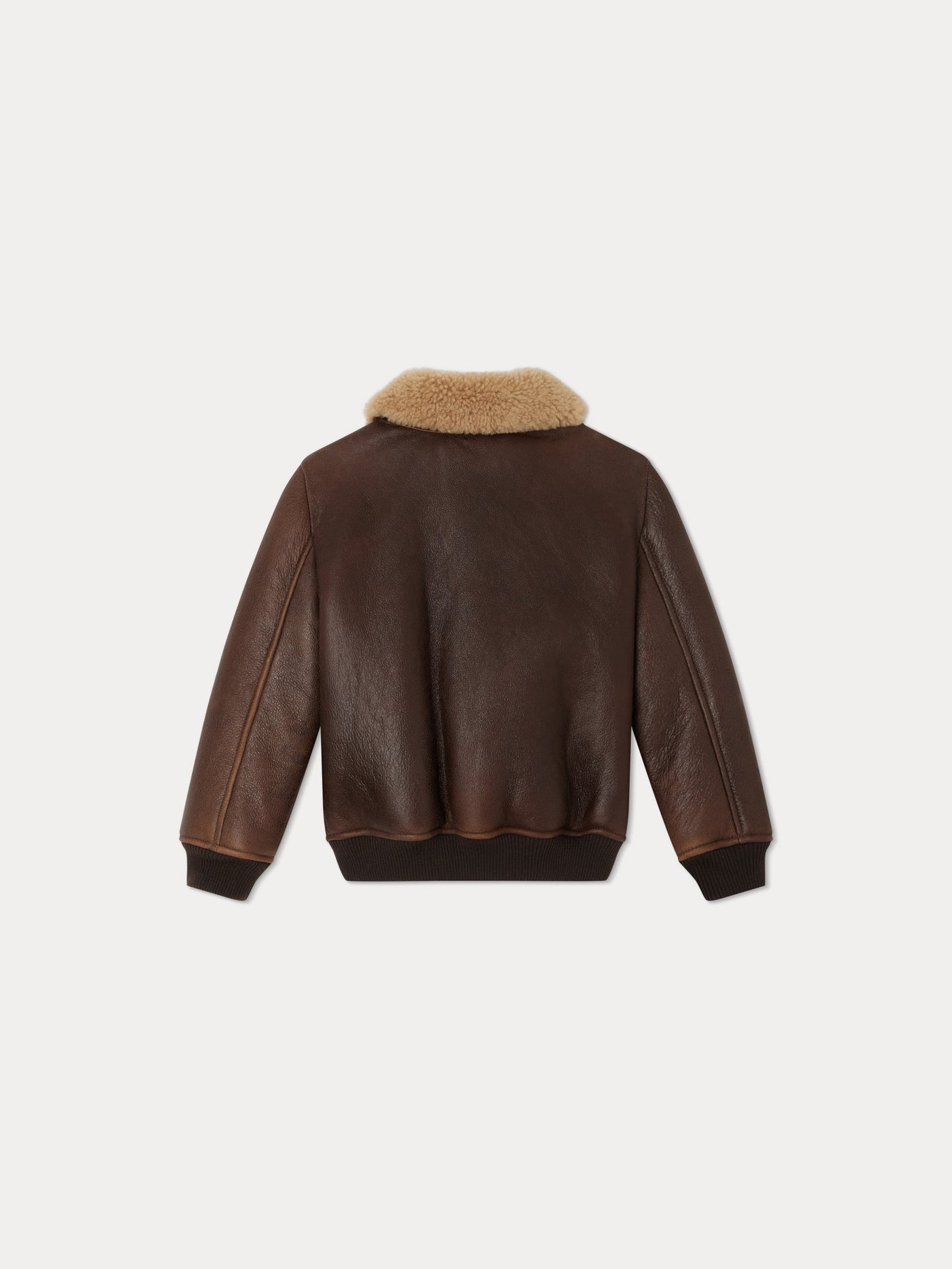 Blouson Darnel cacao