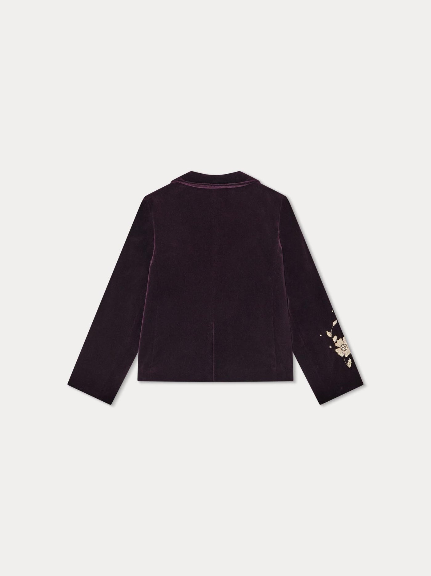 Gyllian aubergine jacket in smooth velvet