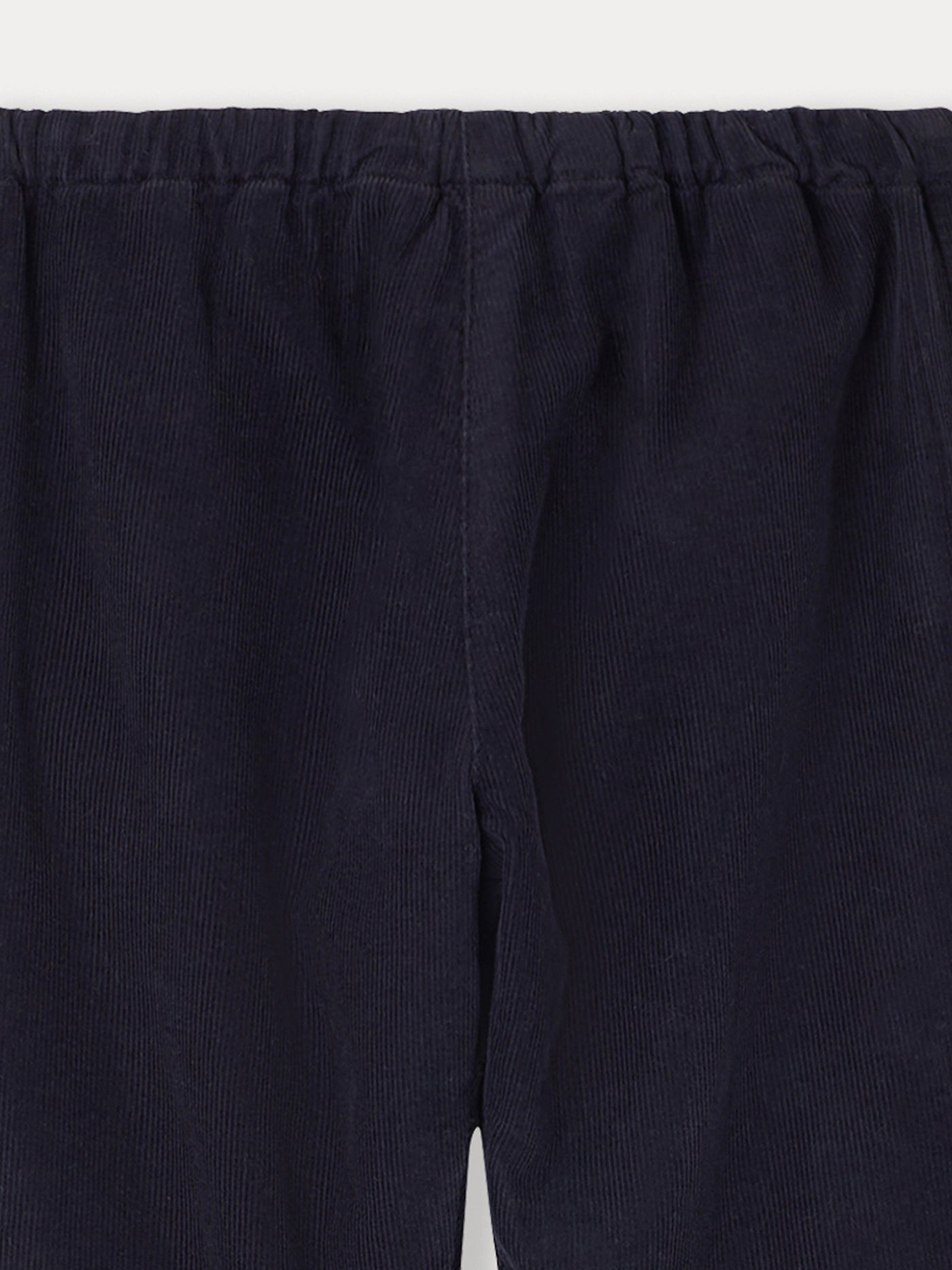 Dandy pants in midnight blue velvet