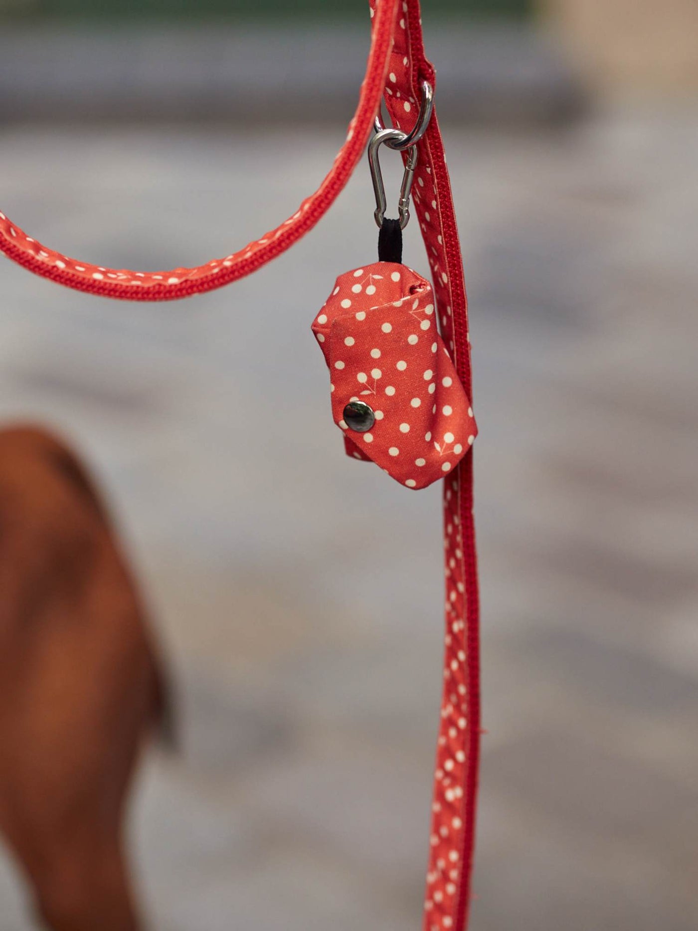Laisse 120 cm Bonpoint x French Bandit pois rouge